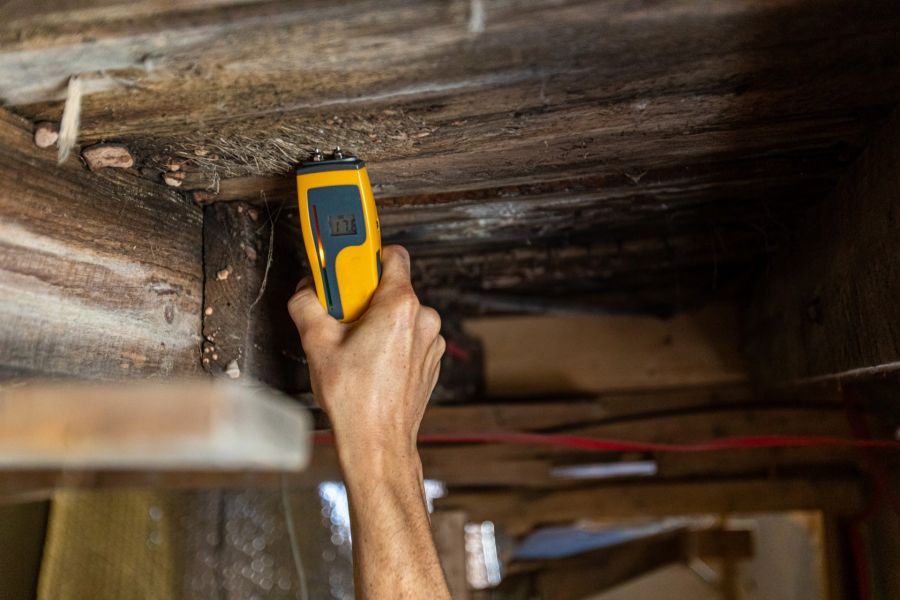 Mold Detection by All-Shield Crawl Spaces