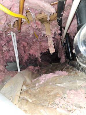 Before & After Mold Detection & Crawlspace Cleaning in Olympia, WA (3)