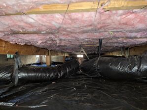 Before & After Mold Detection & Crawlspace Cleaning in Olympia, WA (5)