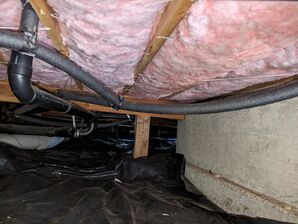 Before & After Mold Detection & Crawlspace Cleaning in Olympia, WA (7)